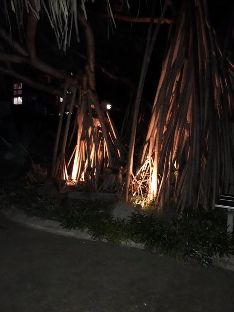 Pandanus Coolum Beach - Food Delivery Shop 10