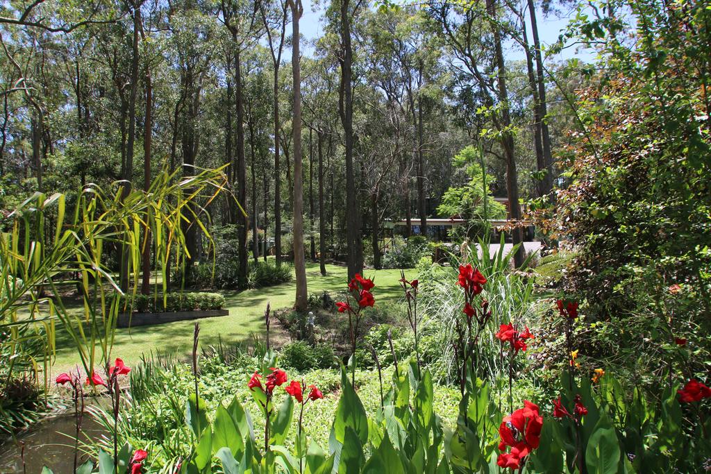 Mount Hutton NSW Food Delivery Shop