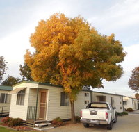 Wodonga Caravan  Cabin Park - Food Delivery Shop