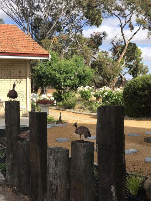 Yellow Gum Bed And Breakfast - Food Delivery Shop 2