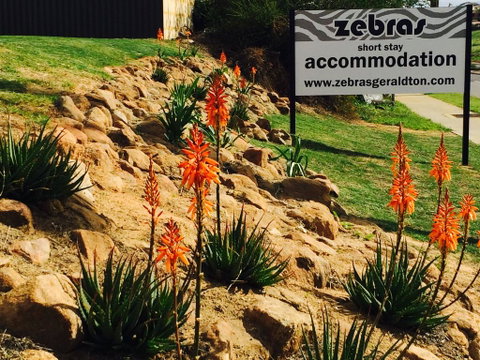 Zebras Guest House Geraldton - Food Delivery Shop 2