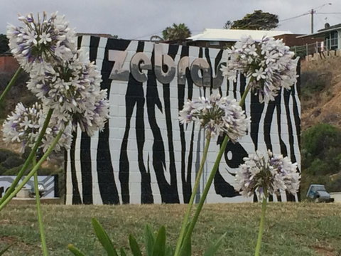 Zebras Guest House Geraldton - Food Delivery Shop 0