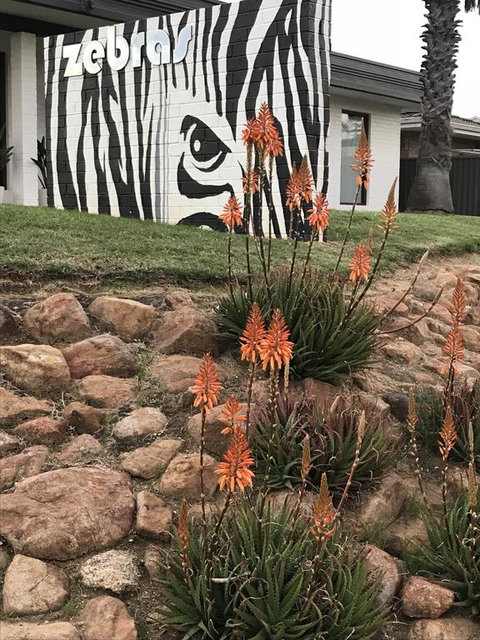 Zebras Guest House Geraldton - Food Delivery Shop 1