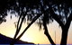 Maggies Beachfront Apartment 12 - thumb 3