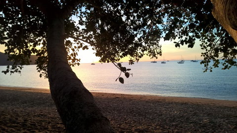 Magnetic Island Bed And Breakfast - Food Delivery Shop 4
