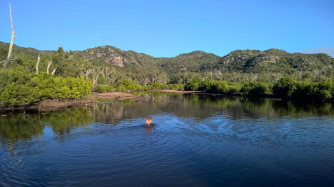 Magnetic Island Bed And Breakfast - Food Delivery Shop 8