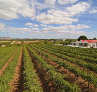 1837 Barossa Luxury Vineyard Cottages - Food Delivery Shop