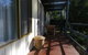 8 Ophir Ave, Ventnor - thumb 3