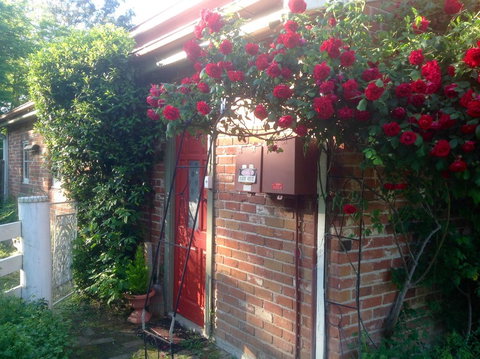 A Country Barn Retreat - Food Delivery Shop 2