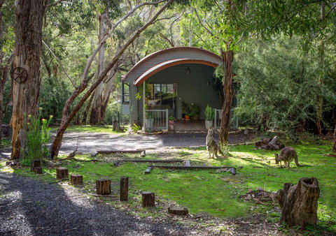 A Heavenly Escape - Pet Food Australia 0