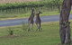 A Stanthorpe Getaway - thumb 3