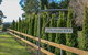 Duckmaloi Park Lodge - thumb 4