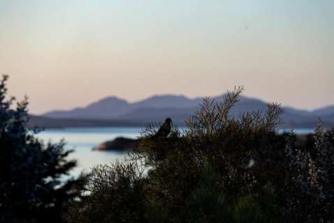Faraway On Flinders Island - Food Delivery Shop 4