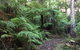 Forrest River Valley - thumb 4