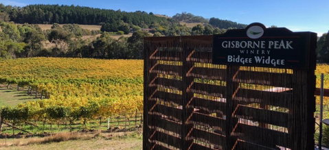 Gisborne Peak Winery Short Term Stays - Food Delivery Shop 0