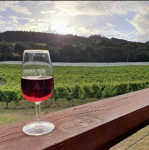 Gisborne Peak Winery Short Term Stays - Food Delivery Shop 3