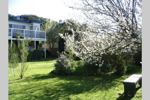 Adrift At Ventnor On Phillip Island, Pets - Food Delivery Shop 3