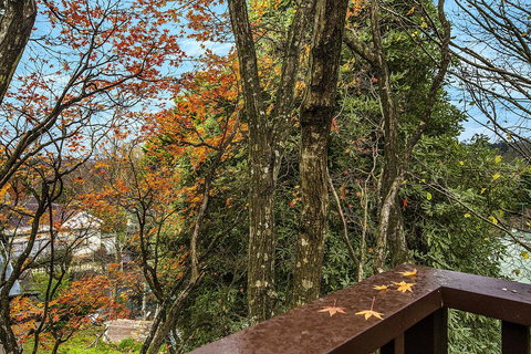 Allambee - Food Delivery Shop 2