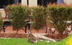 Alpha Hotel Canberra - thumb 1