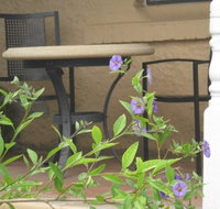 Amalie Cottage Waikerie - Food Delivery Shop