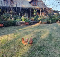 Angaston by the Winter Creek - Food Delivery Shop
