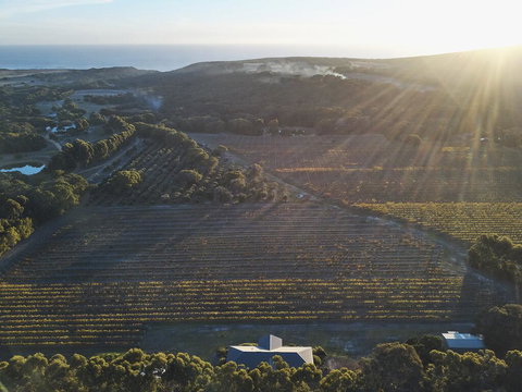 Arimia Estate Guesthouse - Food Delivery Shop 1