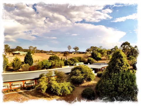 Armidale Rose Villa Motel - Food Delivery Shop 1