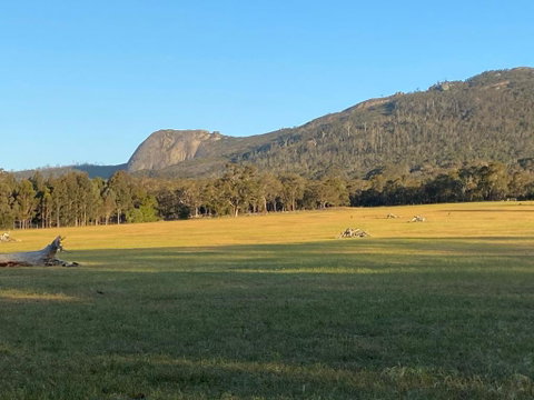 Manyat Peak Cottages Boobook - Food Delivery Shop 0