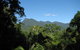 Mossman Gorge Bed And Breakfast - thumb 0