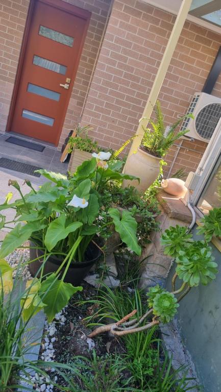Oasis In The Heart Of Dural - Food Delivery Shop 3