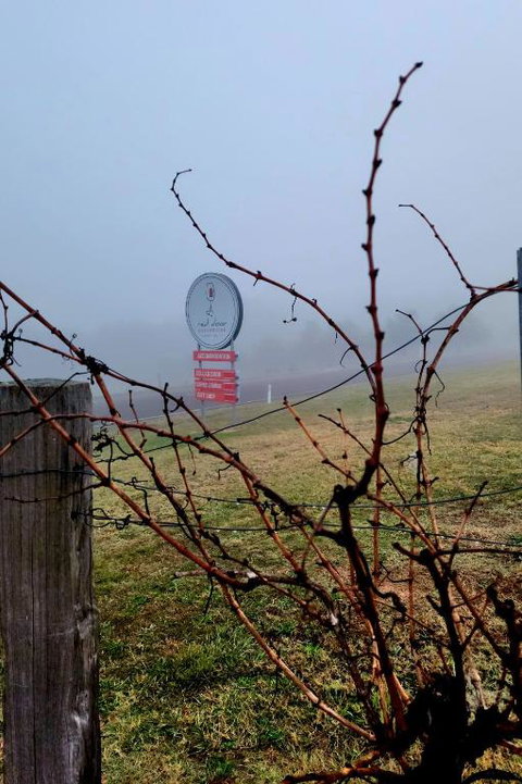 Red Door Collective - RDC Vineyard Estate, Luxury Adult Only Stay - Food Delivery Shop 3