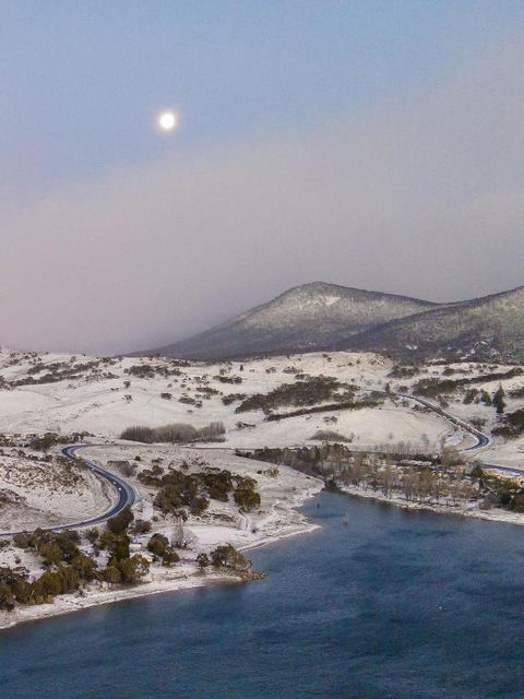 Razorback 4 - Pet Food Australia 3