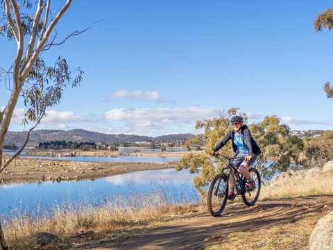 Razorback 4 - Pet Food Australia 2