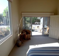 At The Gap Holiday Home - Pet Food Australia