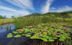 Barrington Hideaway- River Cottages - thumb 0