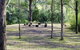 Barrington River Lodge - thumb 1