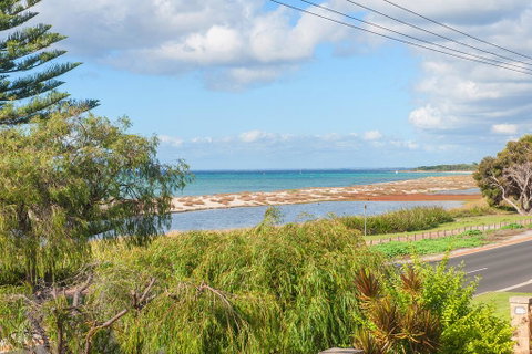 Bay Vista - Food Delivery Shop 3