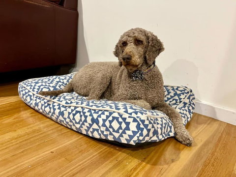 Relax And Reconnect At MaluaBay - Food Delivery Shop 1