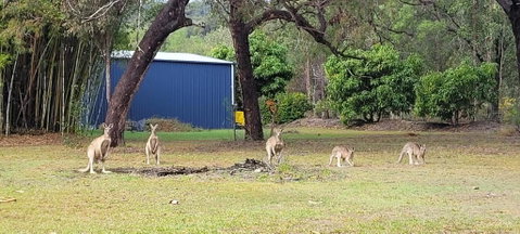 Roo Or 2 On Streeter - Food Delivery Shop 0