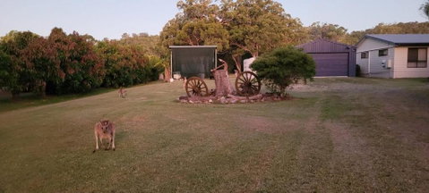 Roo Or 2 On Streeter - Food Delivery Shop 2
