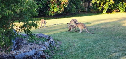 Roo Or 2 On Streeter - Food Delivery Shop 3