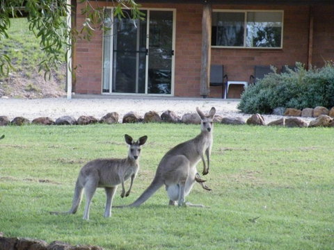 Rubyvale Motel & Holiday Units - An Adults Only Getaway - Food Delivery Shop 3
