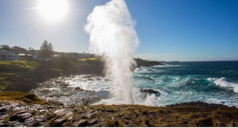 SALTY PALMS -Seaside Studio Apartment - Food Delivery Shop 2