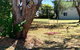 Bellaghy Cottage - thumb 2