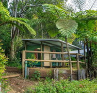 Binna Burra Rainforest Campsite - Pet Food Australia