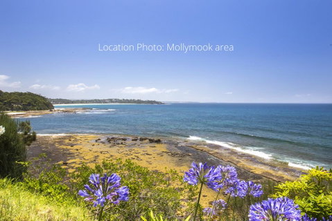 Birchgrove 3 @ 3/5 Murramerang - Food Delivery Shop 1