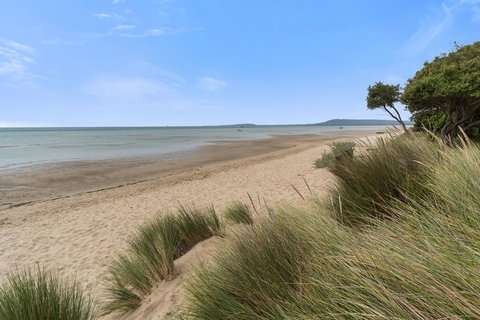 Blairgowrie Beach Baby - Food Delivery Shop 2