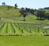 Blue House at Mountainside Wines - Food Delivery Shop
