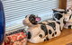 The Spotted Cow,city Fringe,pet Friendly-Free Wine - thumb 2