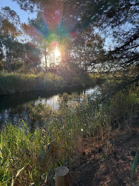 Woody House - Food Delivery Shop 0